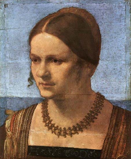Albrecht Durer Portrait of a Venetian Woman china oil painting image